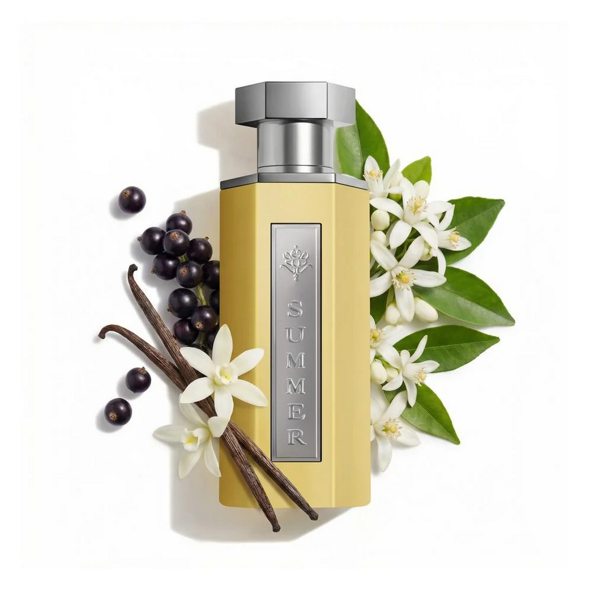 عطر ريف سمر مع الفانيليا وزهر البرتقال - Reef Perfumes Reef Summer EDP vanilla and orange blossom Egypt | NASMAT